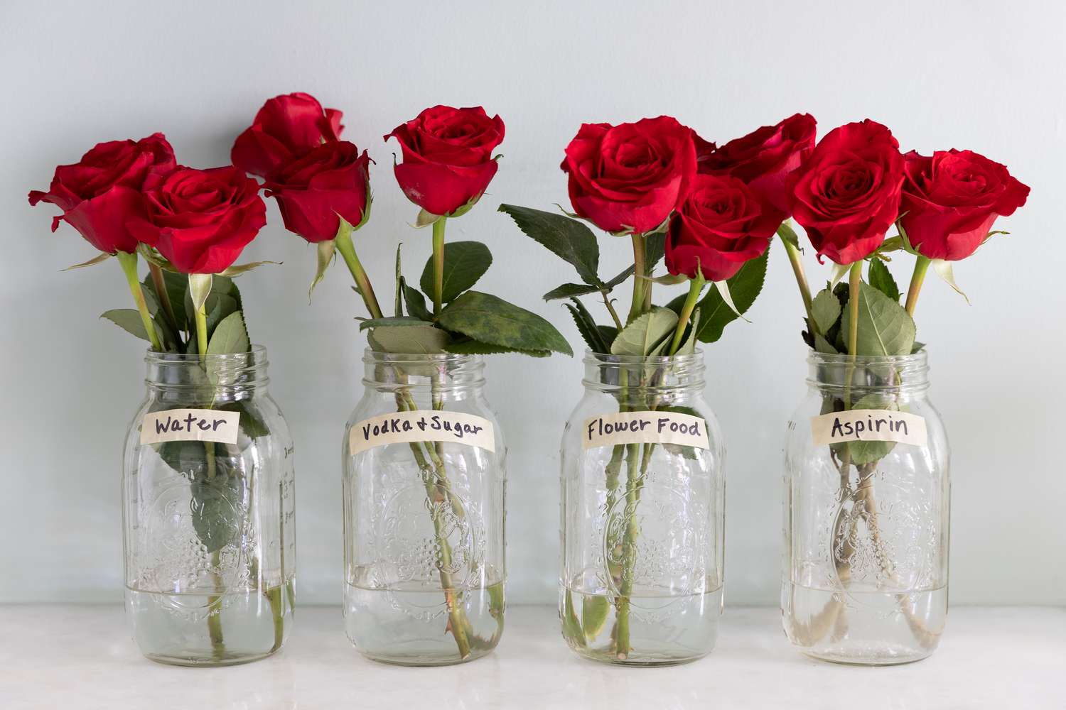 how to keep roses alive in a vase
