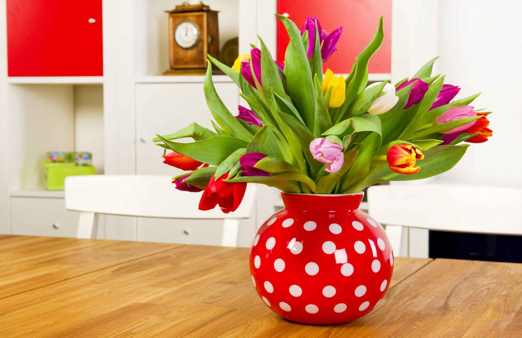 Blooms in Bloom: Essential Tips for Caring for Tulips in a Vase插图4