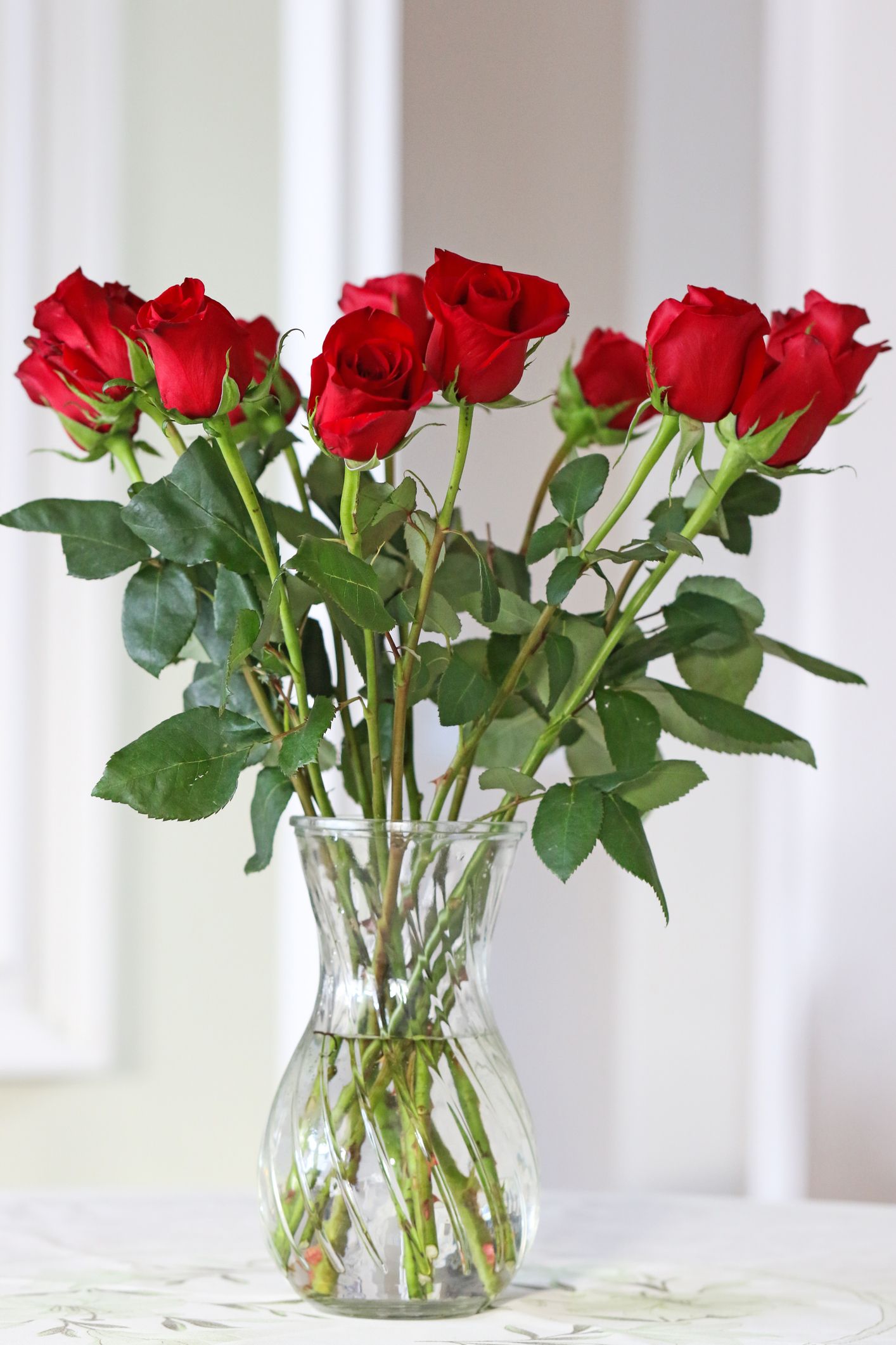 Blooms that Last: Secrets to Keeping Roses Vibrant in a Vase插图3