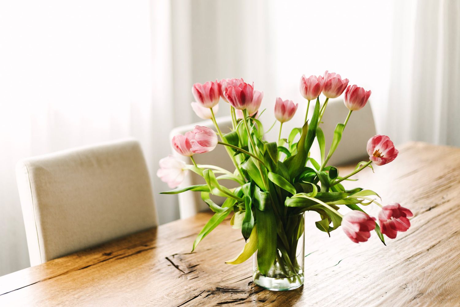 Understanding the Lifespan: How Long Do Roses Last in a Vase?插图4