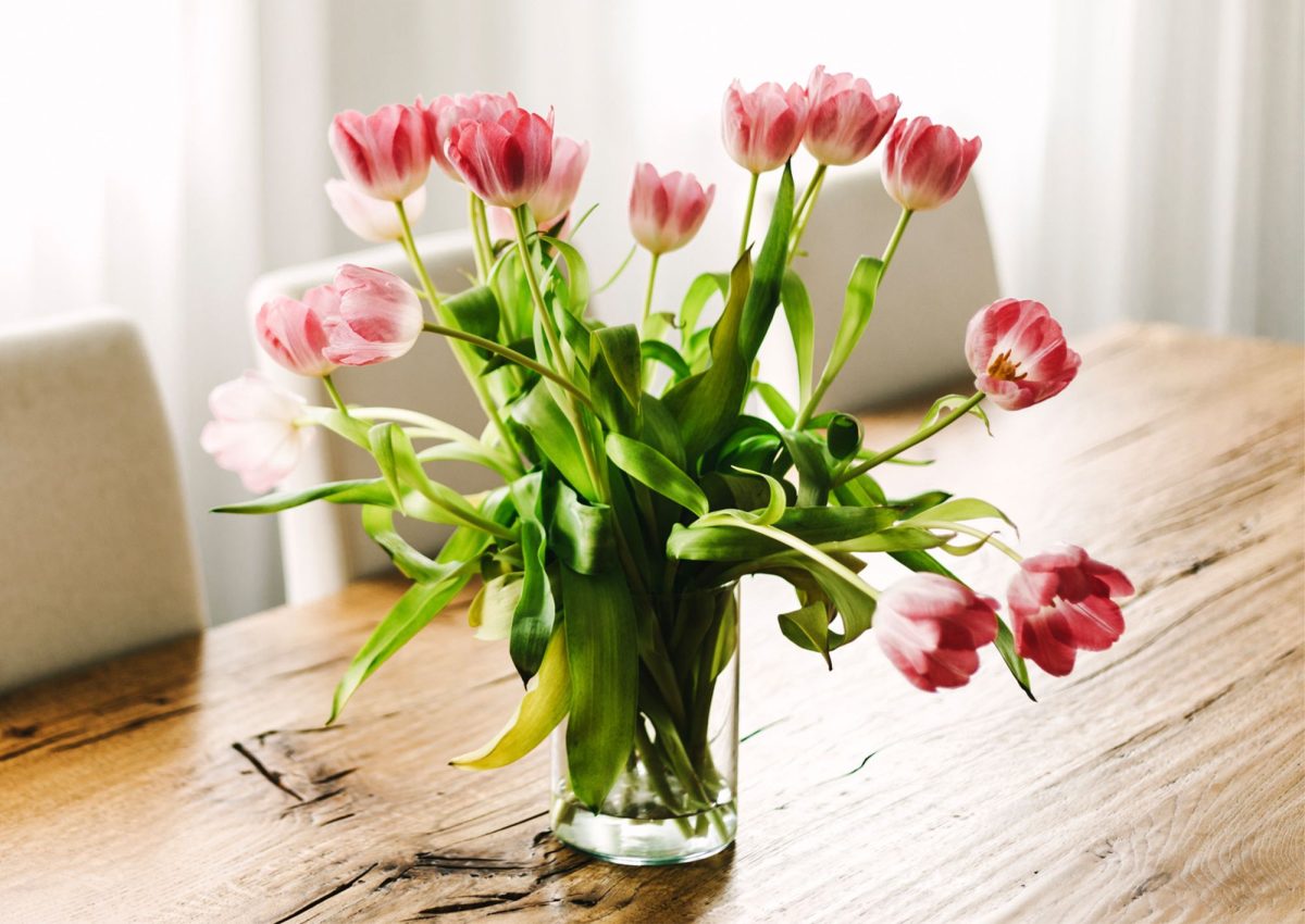 Blooms in Bloom: Essential Tips for Caring for Tulips in a Vase缩略图