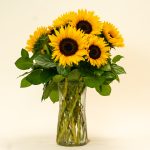 Blooms That Last: Maximizing the Lifespan of Sunflowers in a Vase缩略图