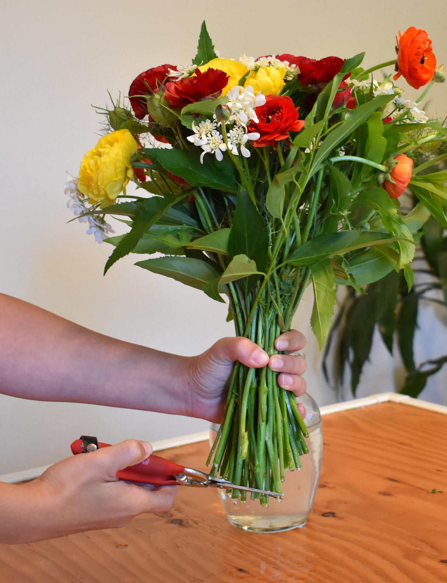 Art of Flower: Trimming Tips for Stunning Vase Displays插图3