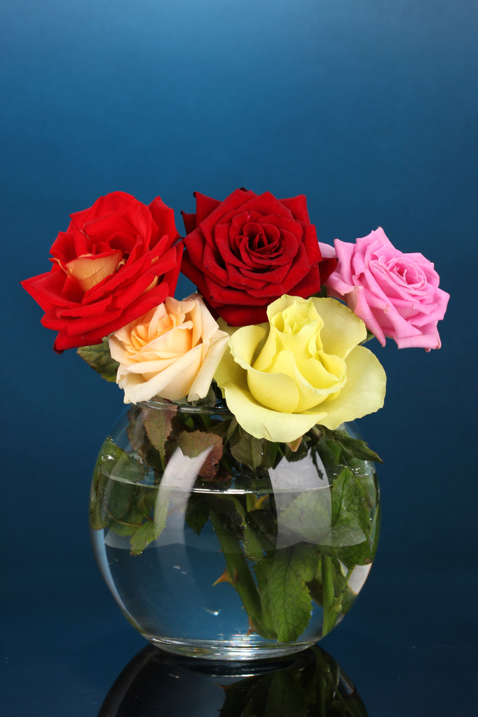 Prolonging the Beauty: Keeping Roses Fresh in a Vase Longer插图4