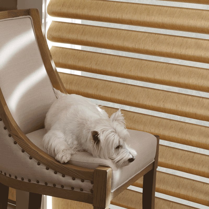 why choose dog proof blinds