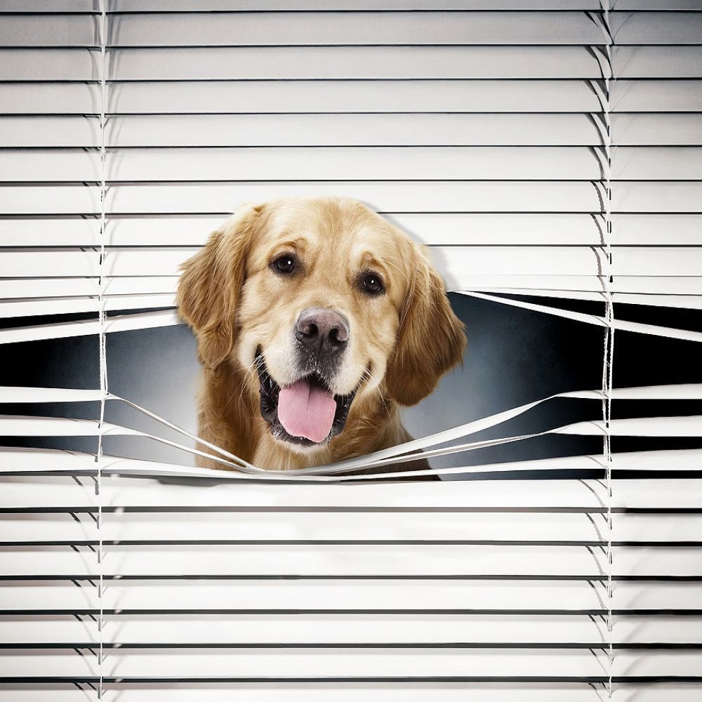 dog proof blinds