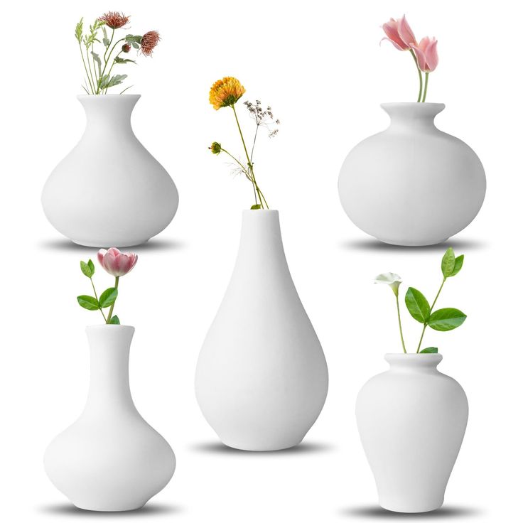 vases