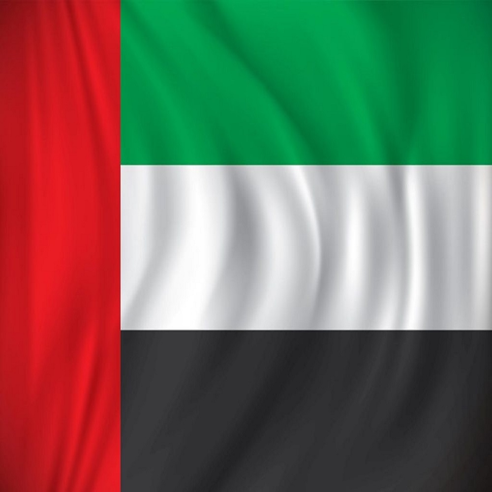 Dubai flag