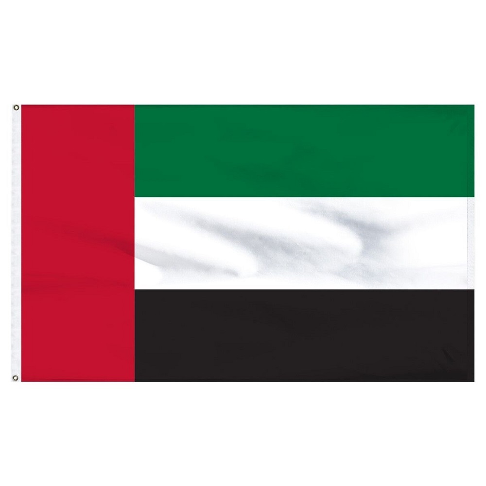 Dubai flag