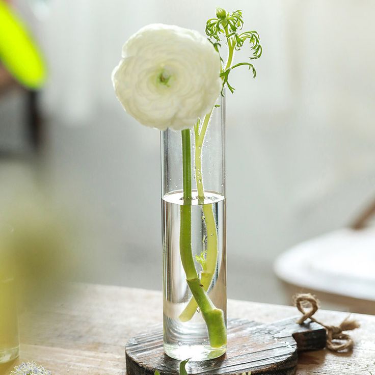 glass cylinder vases