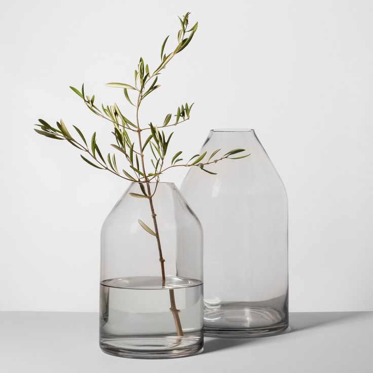 Transparent vase