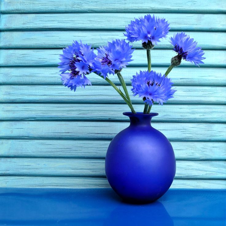 Flower vase