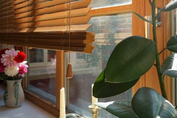 brown mini blinds
