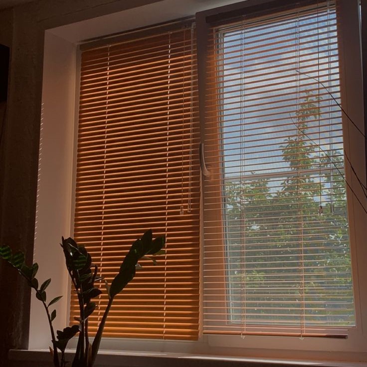 brown mini blinds
