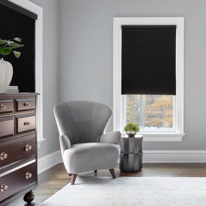 black mini blinds