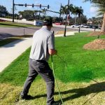 grass spray paint