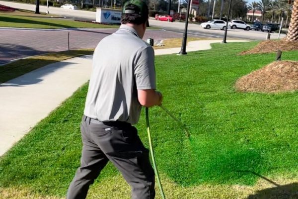 grass spray paint