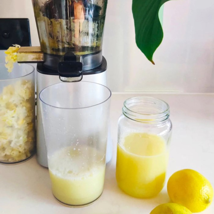 how to use a juicer