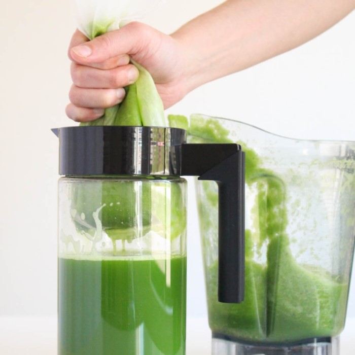 how to juice without a juicer