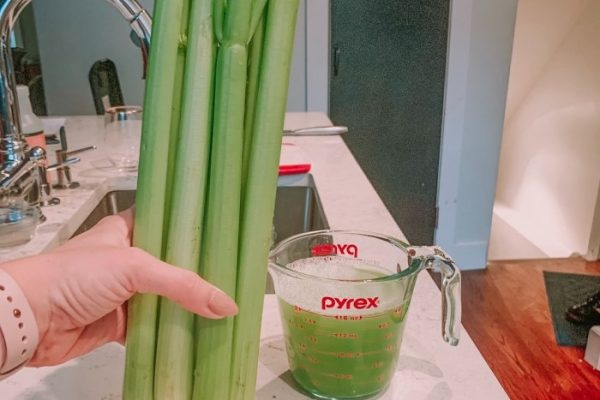 how to juice without a juicer