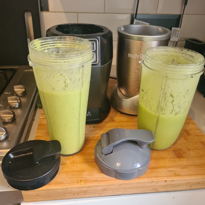 nutribullet vs. ninja blender