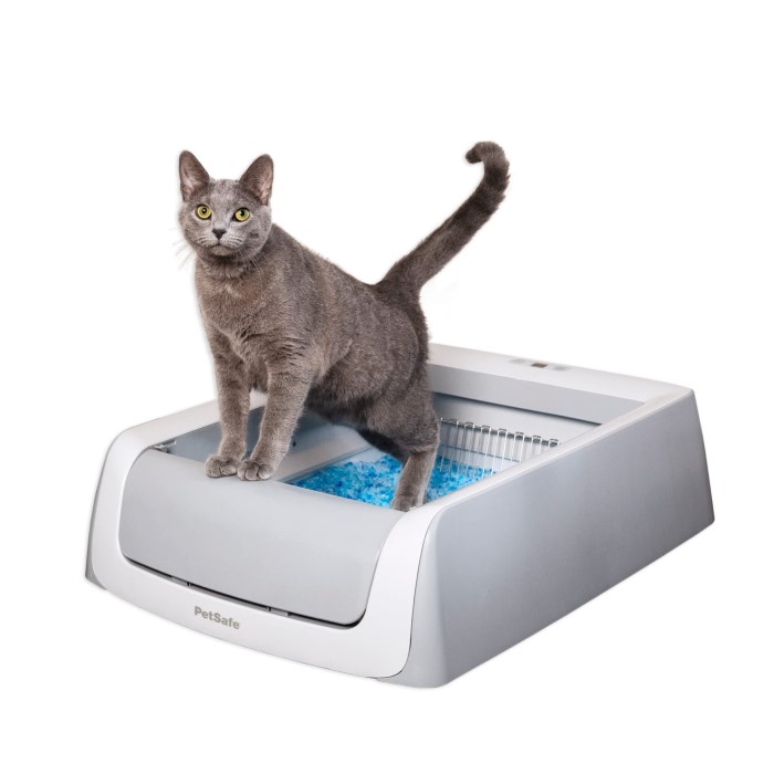 scoop free litter box
