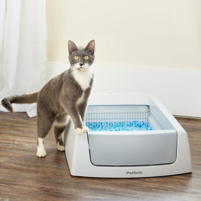 scoop free litter box