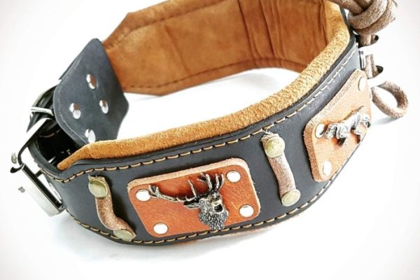 unique dog collar