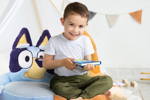 bluey bean bag chair