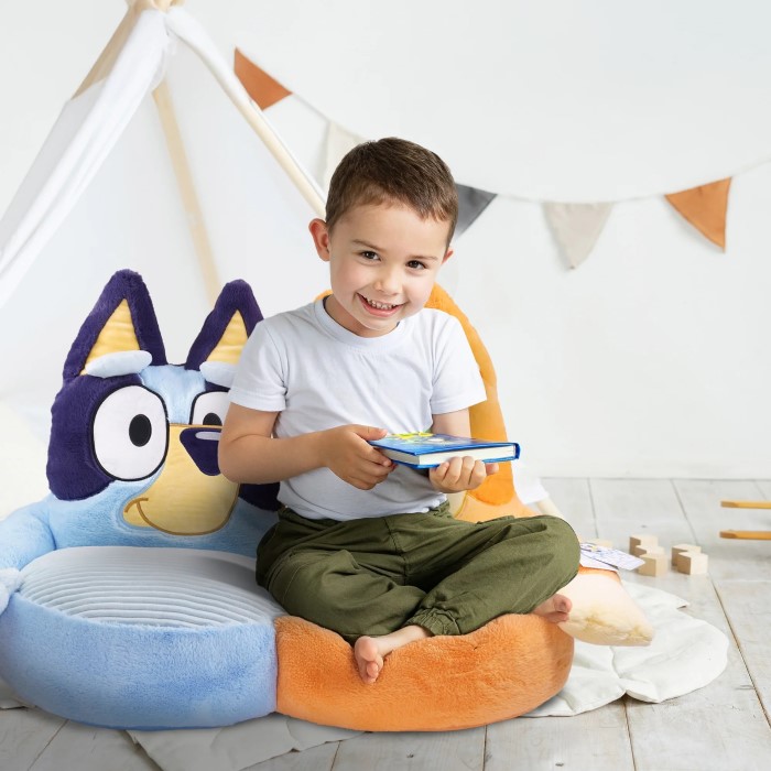 bluey bean bag chair