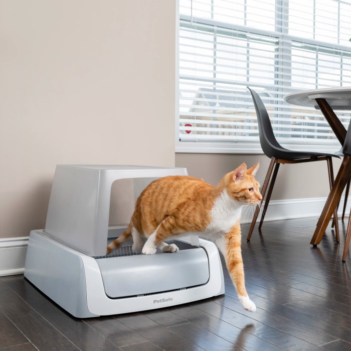 scoop free litter box