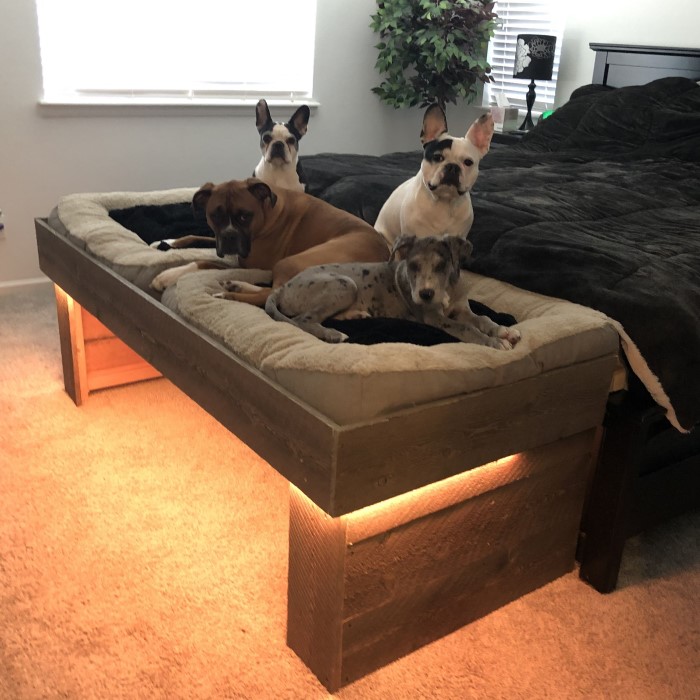 elevated dog bed