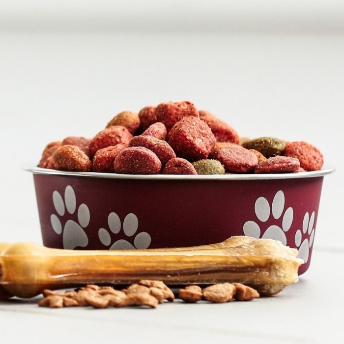 high protein dog food