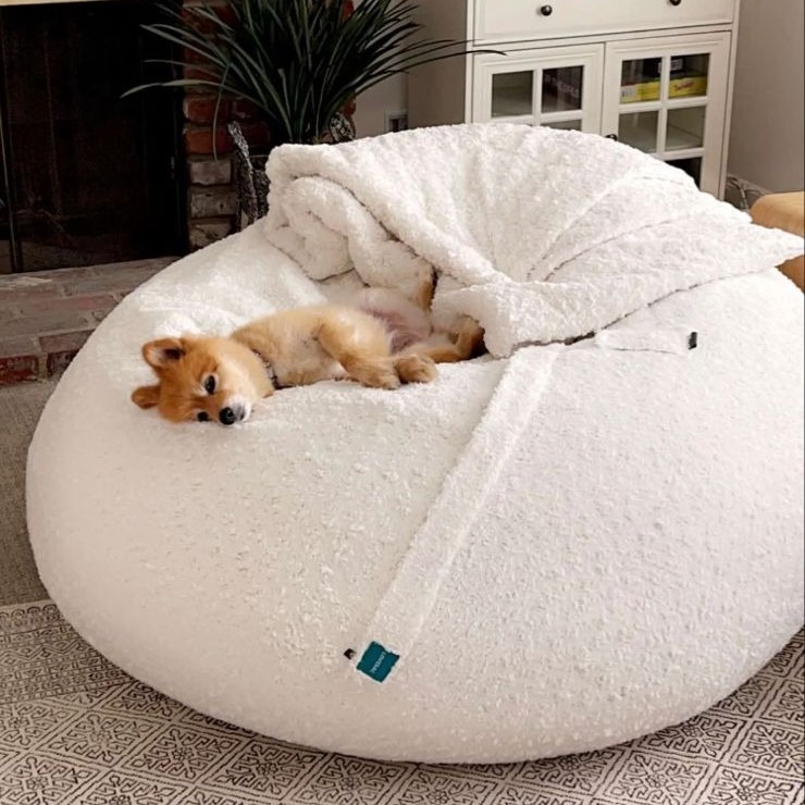 dog bean bag chair