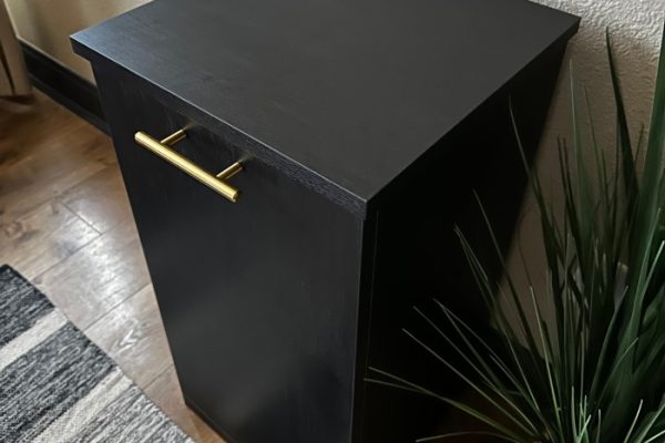 dog food storage container