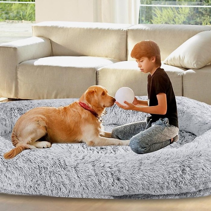 dog bean bag chair