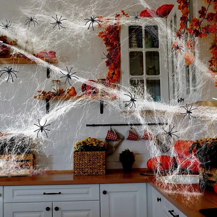 fake spider web