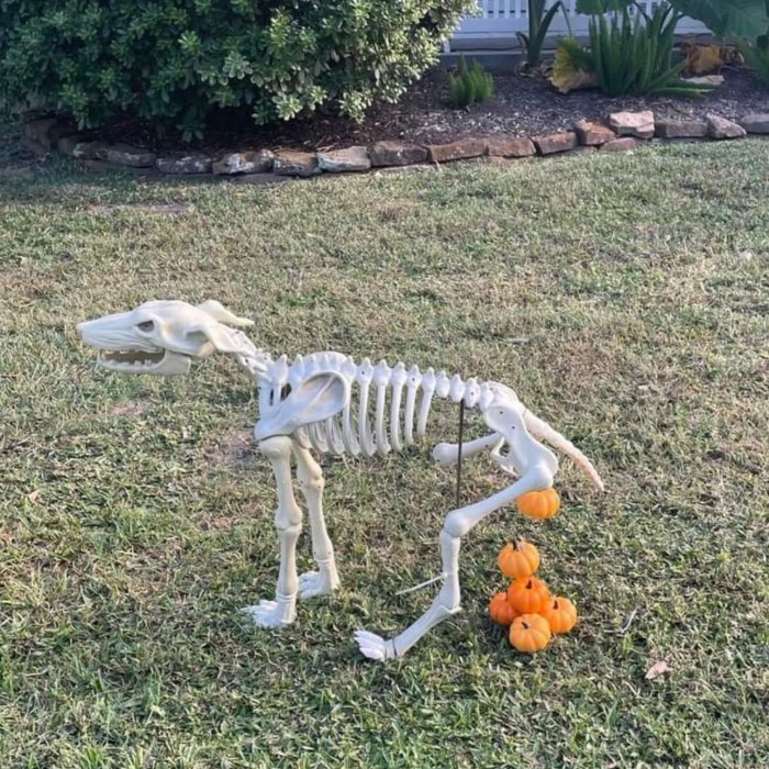 halloween yard decor