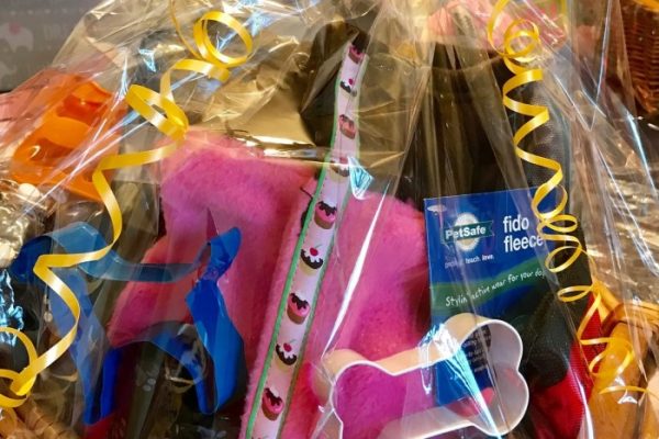 what is a tricky tray