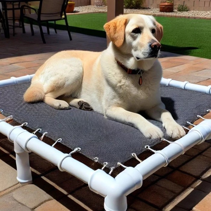 outdoor dog bed