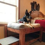 elevated dog bed