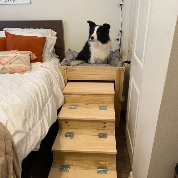 elevated dog bed