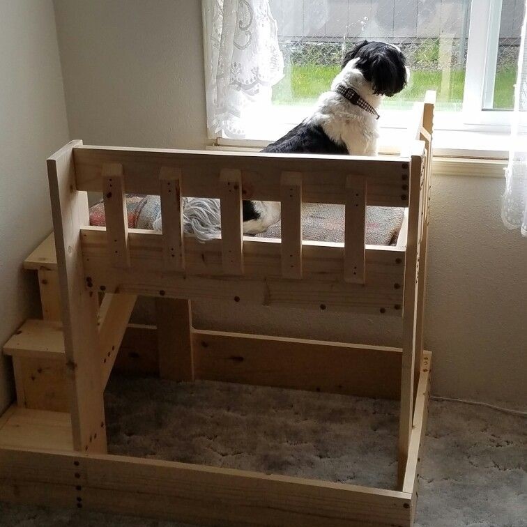 elevated dog bed