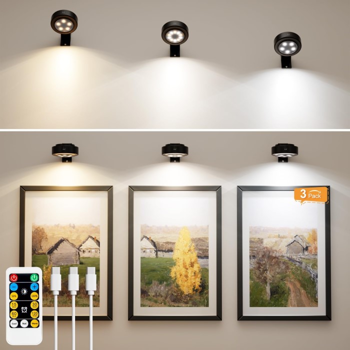 picture frame lights