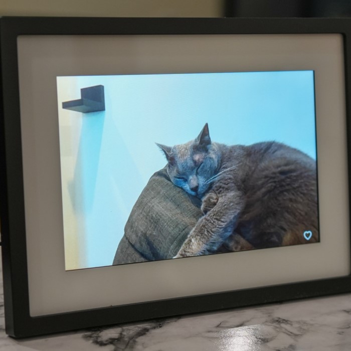 skylight picture frame