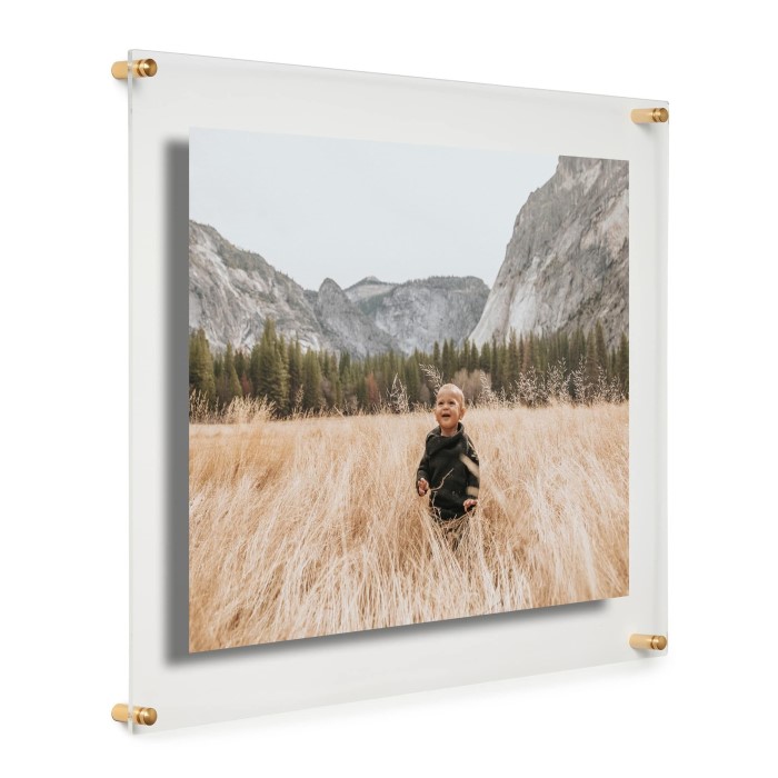 floating picture frame