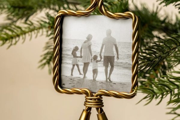picture frame ornaments