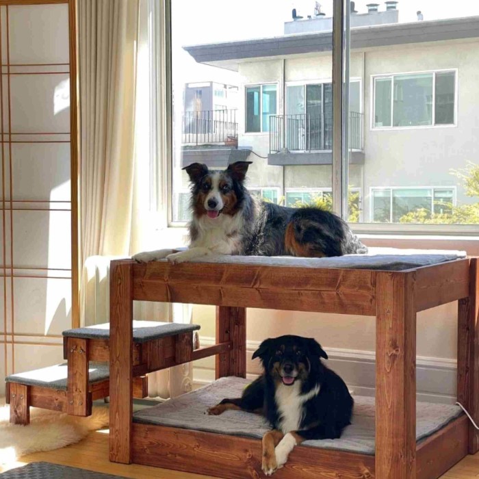 raised dog bed
