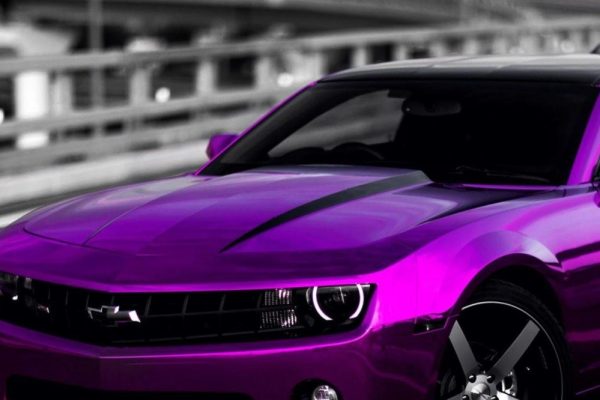 Light Purple Car