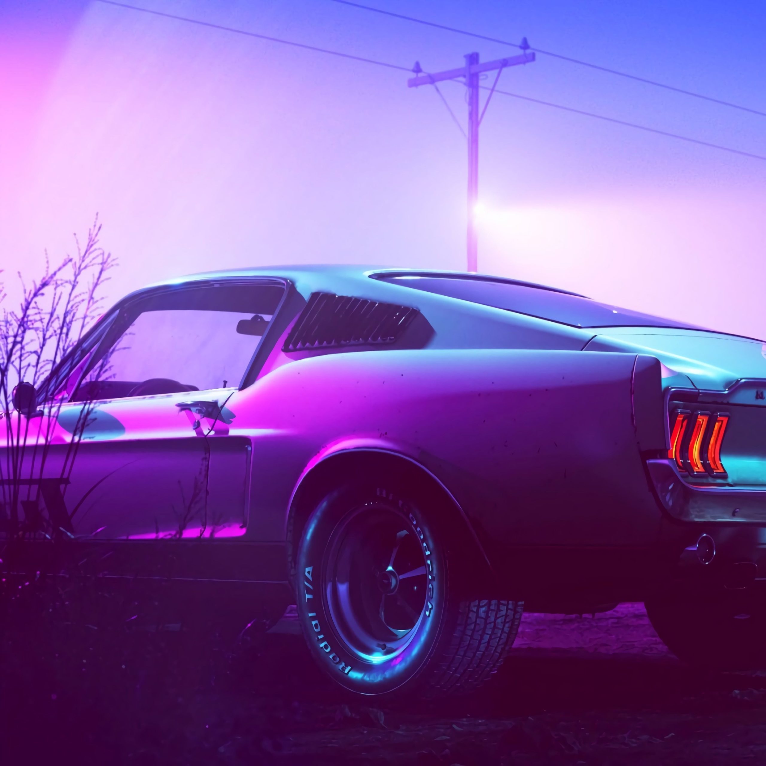 Light Purple Car